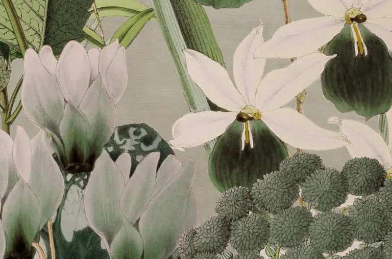 Alice's Garden Dusk - Kopia