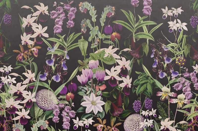 Fototapeta Alice's Garden Midnight Rebel Walls (1)