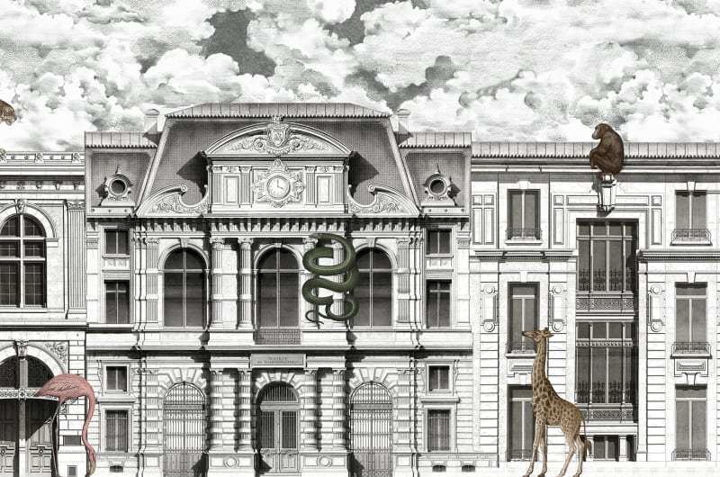 Fototapeta Animal Avenue Rebel Walls (1)