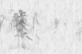 Fototapeta Asian Pines Rebel Walls R16761 2