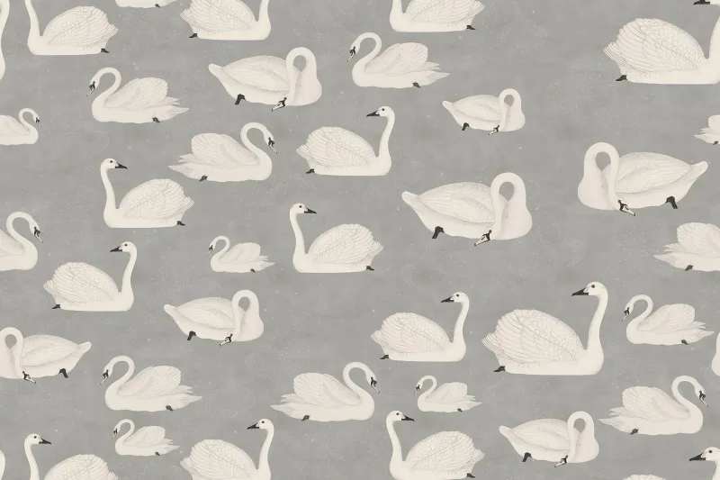 Fototapeta Cygne Rebel Walls  (1)