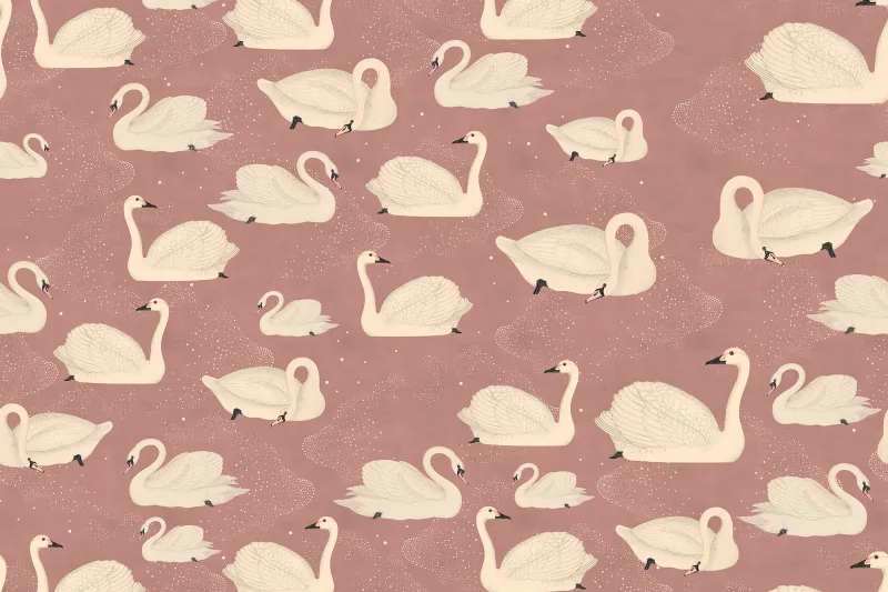 Fototapeta Cygne Rose Rebel Walls (1)