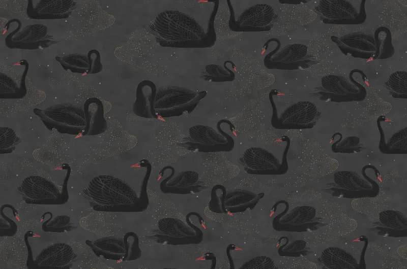 Fototapeta Cygne Noir Rebel Walls (1)