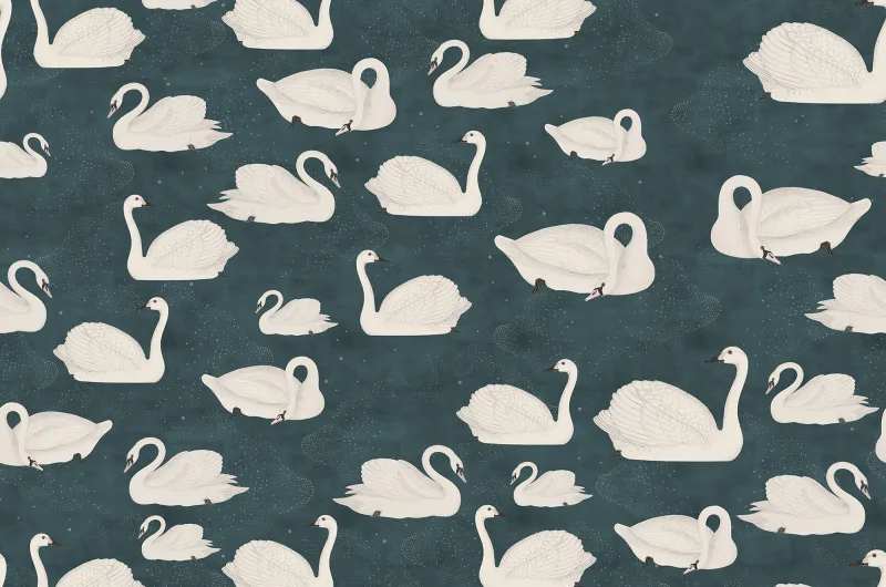 Fototapeta Cygne Bleu Rebel Walls (1)