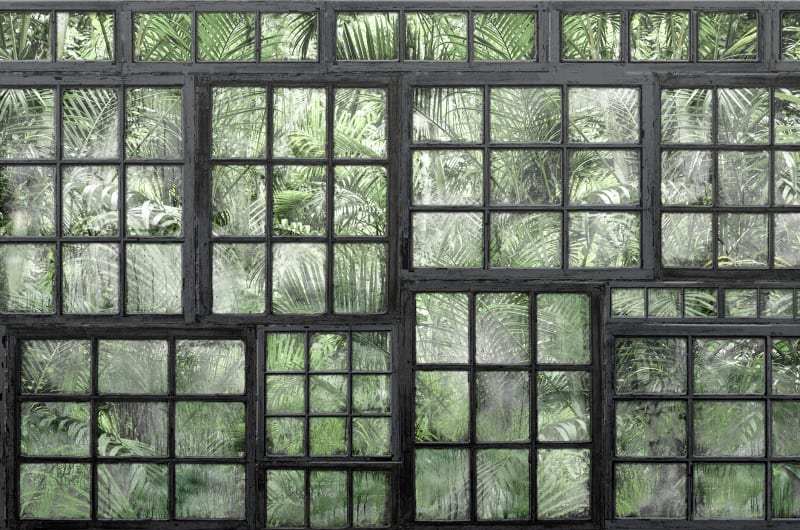 Fototapeta Perspective Jardin Noir Rebel Walls (1)