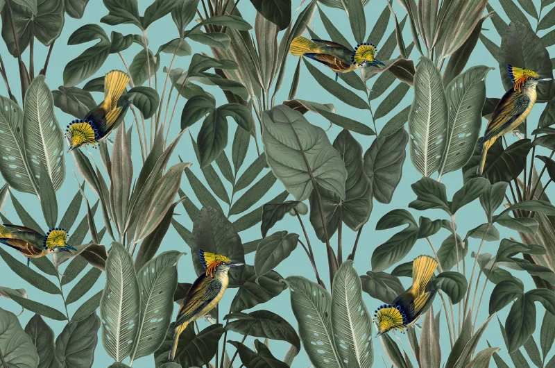 Fototapeta Yellow Bird Rebel Walls (6)