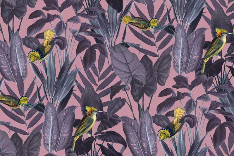 Fototapeta Yellow Bird Rebel Walls (5)