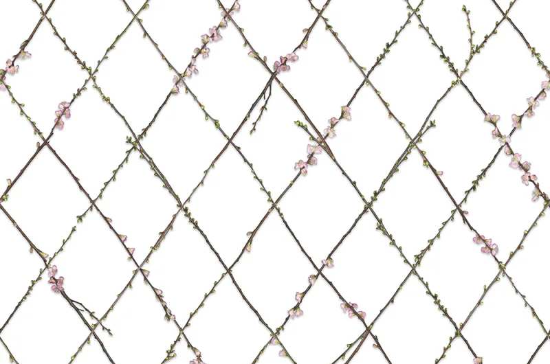 Fototapeta Winding Spring Rebel Walls (3)