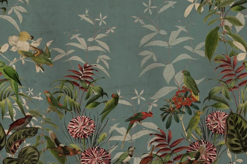 R17152_image1