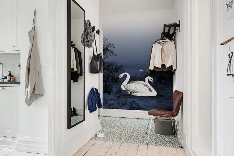 Fototapeta Swan Lake Nightfall Rebel Walls (3)