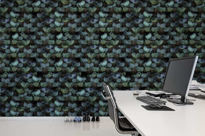Fototapeta Peacock Plumage Rebel Walls (1)