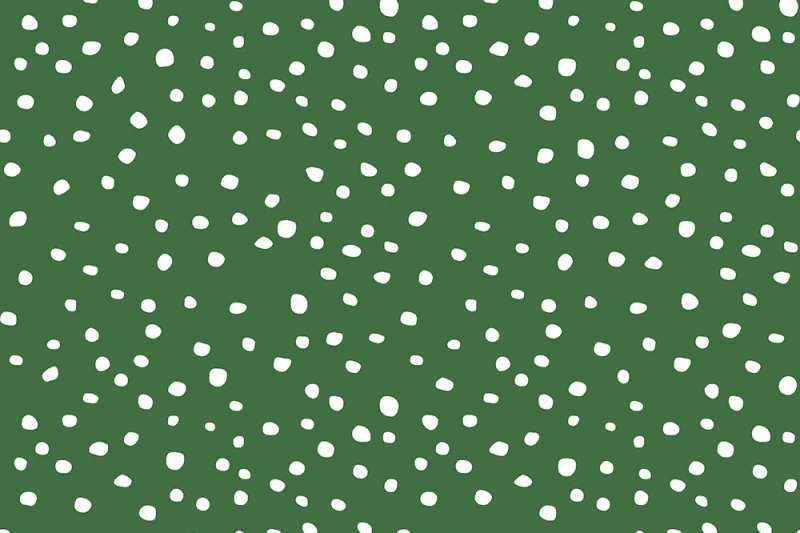 Fototapeta Rebel Dot Basil Rebel Walls (5)