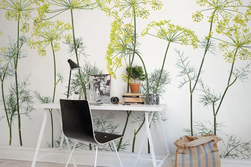 Fototapeta Crown Of Dill Rebel Walls (1)