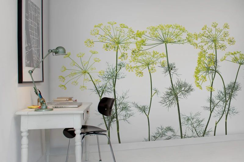 Fototapeta Crown Of Dill Rebel Walls (3)