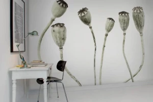 Fototapeta Simple Seedpod Rebel Walls R12991