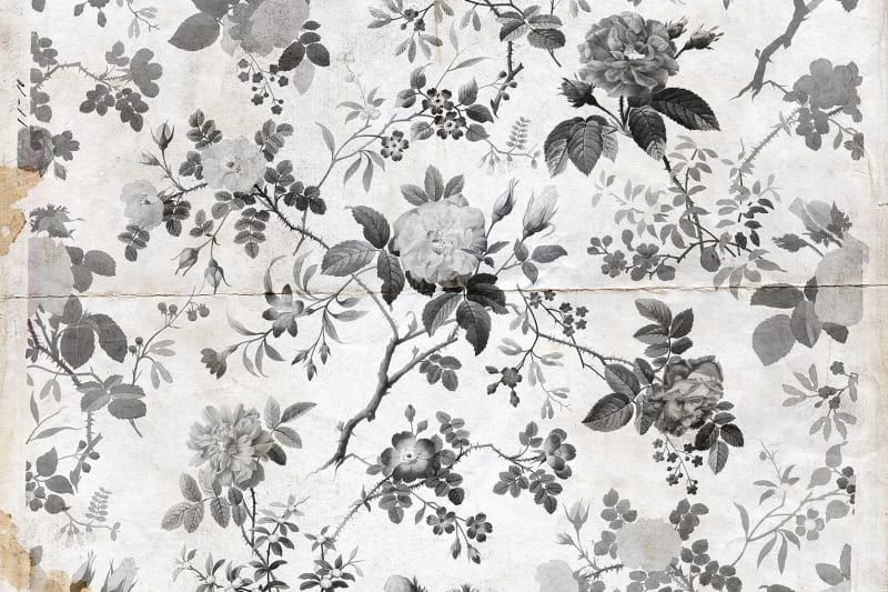 Fototapeta Rosegarden Black Rebel Walls (3)