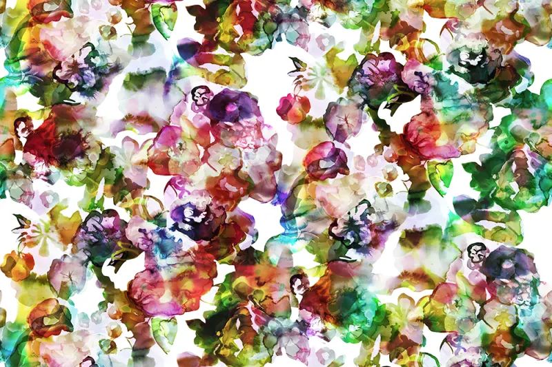 Fototapeta Lily Pond Rainbow Rebel Walls (4)