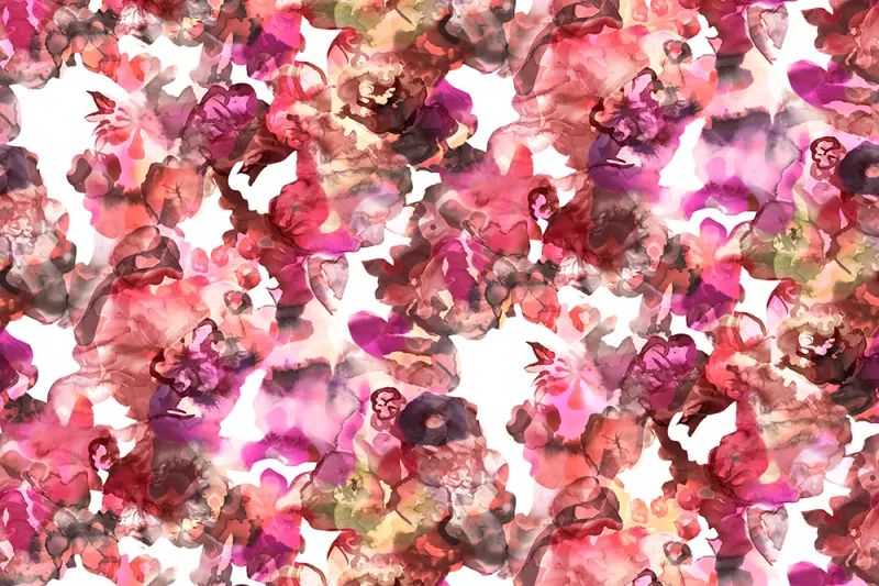 Fototapeta Lily Pond Red Rebel Walls (3)