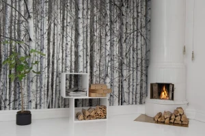 Fototapeta Birch Trunks Rebel Walls R13031