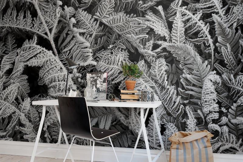 Fototapeta Frost Leaf Rebel Walls (2)