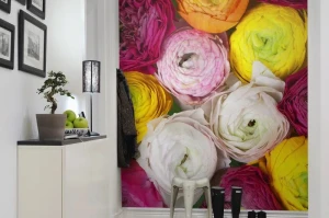 Fototapeta Ranunculus Rebel Walls R13011