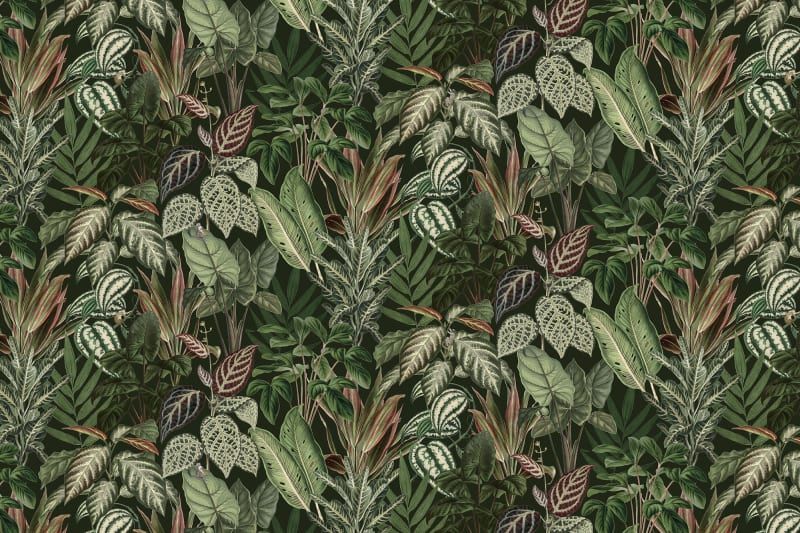 Fototapeta Mischievous Monkeys Lush Rebel Walls (2)