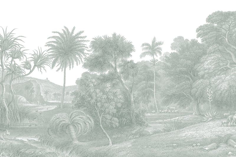 Fototapeta Jungle Land Verdant Rebel Walls (4)