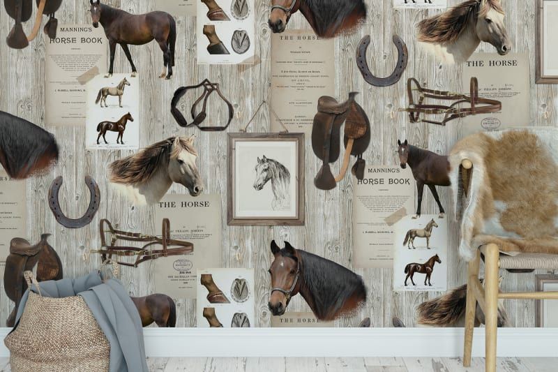Fototapeta Horse Mania Rebel Walls (3)
