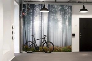 Fototapeta Forest Glade Rebel Walls R15201