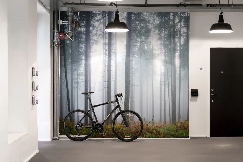 Fototapeta Forest Glade Rebel Walls (2)