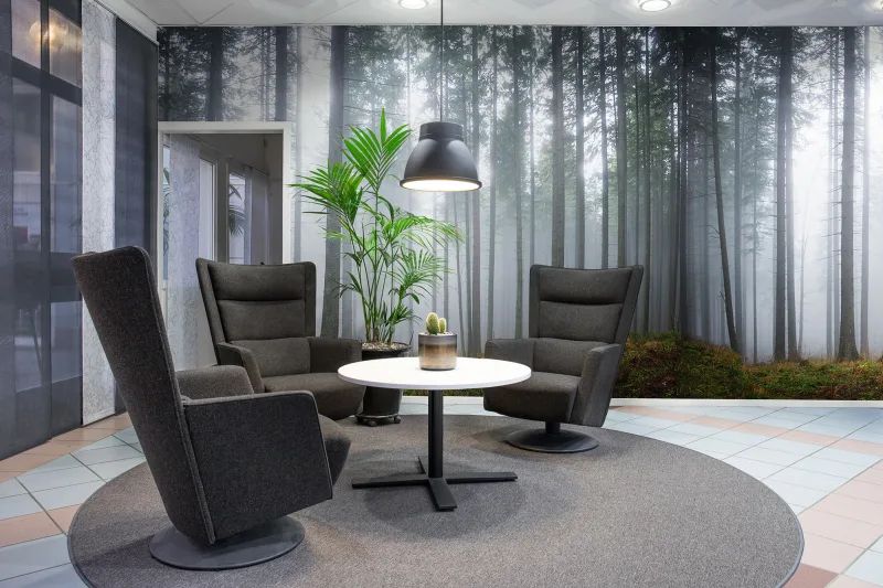 Fototapeta Forest Glade Rebel Walls (4)
