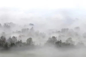 Fototapeta Morning Fog Rebel Walls R15301