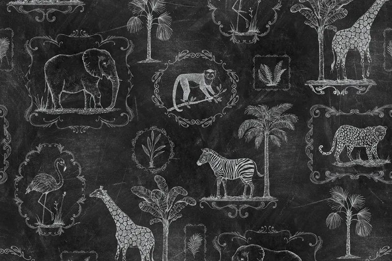 Fototapeta Animal Party Blackboard Rebel Walls (1)