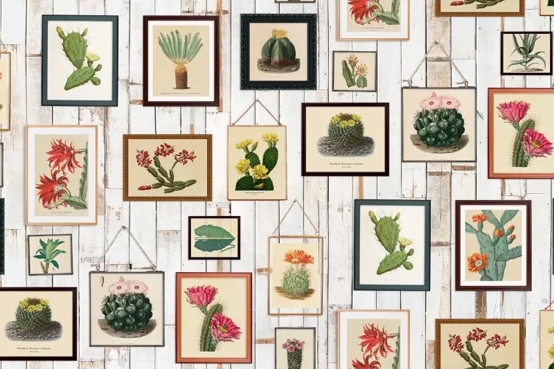 Fototapeta Cactus Wall Art Rebel Walls (2)
