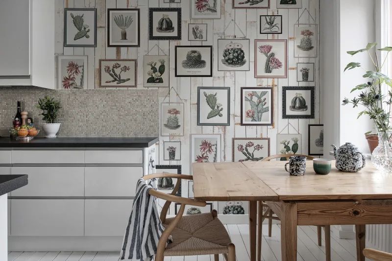 Fototapeta Cactus Wall Art Faded Rebel Walls (1)