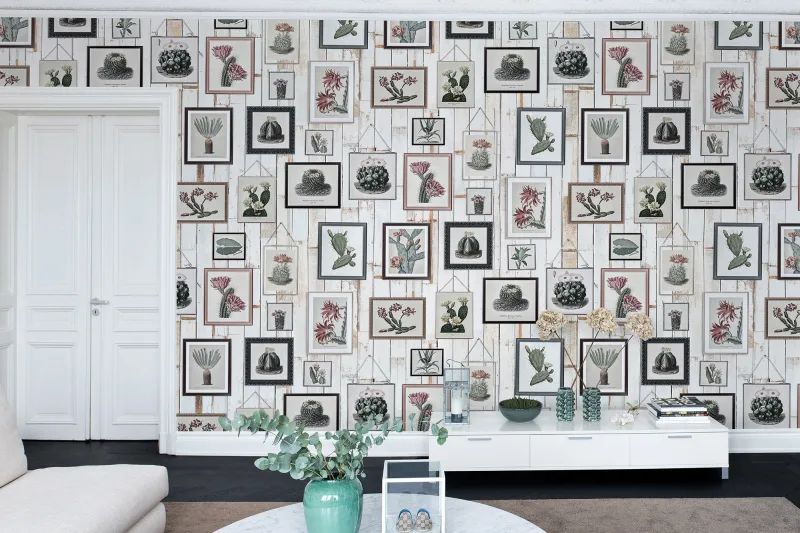Fototapeta Cactus Wall Art Faded Rebel Walls (2)