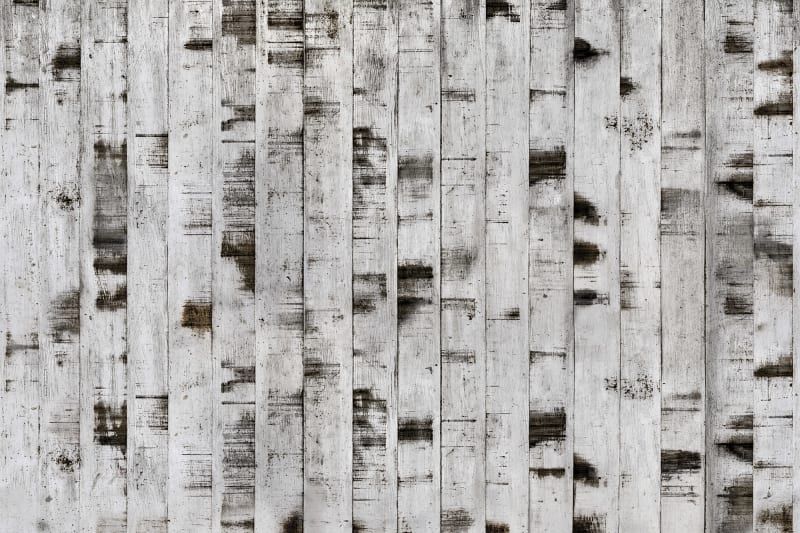 Fototapeta Metal Birch Rebel Walls (2)