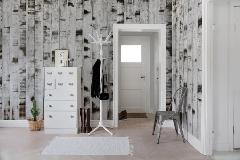 Fototapeta Metal Birch Rebel Walls (1)