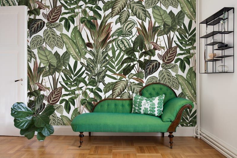 Fototapeta Mischievous Monkeys Rebel Walls (1)