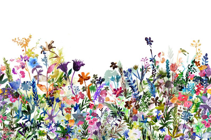 Fototapeta May Meadow Rebel Walls  (4)