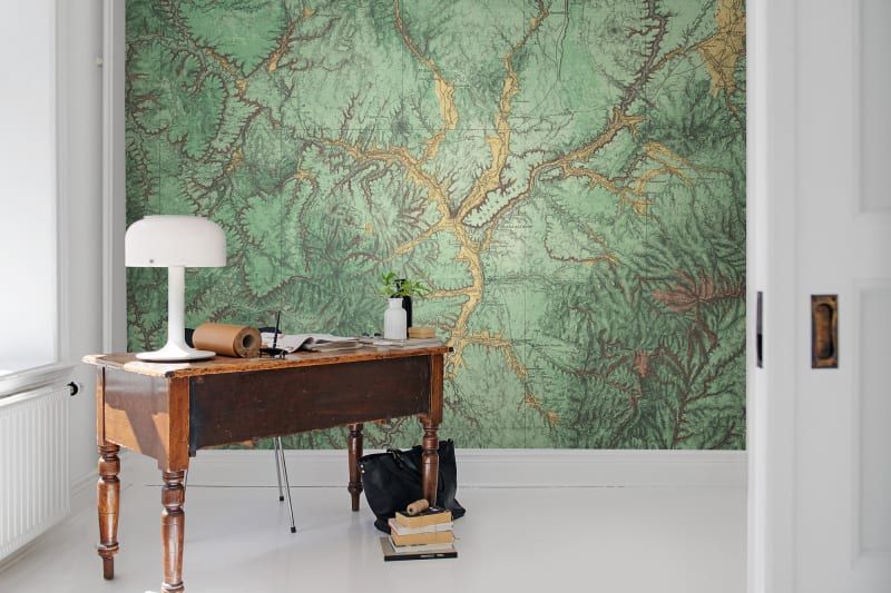 Fototapeta Woodland Rebel Walls (3)
