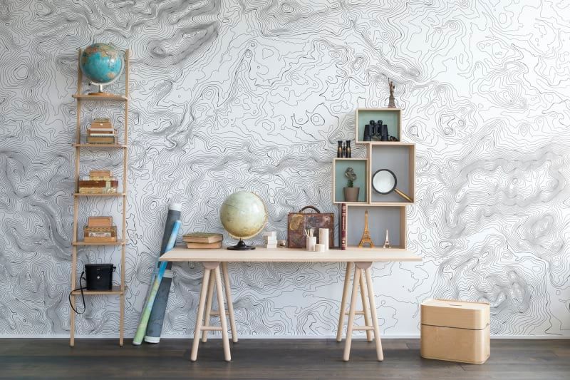 Fototapeta Elevation Lines White Rebel Walls (1)