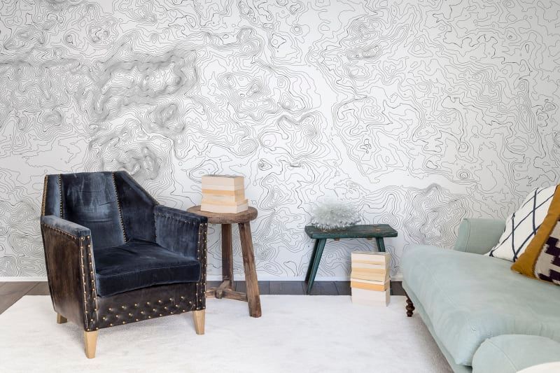 Fototapeta Elevation Lines White Rebel Walls (3)