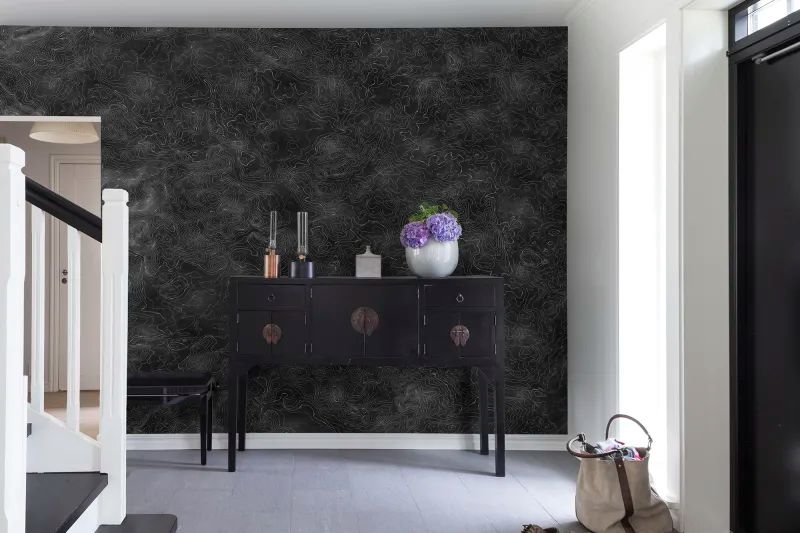 Fototapeta Elevation Lines Black Rebel Walls (1)