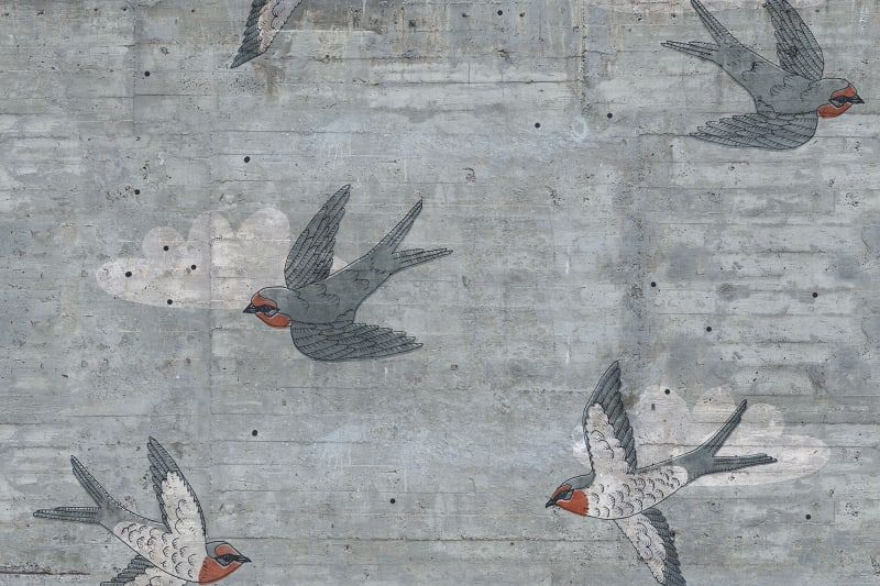 Fototapeta Concrete Art Swallow Rebel Walls (1)