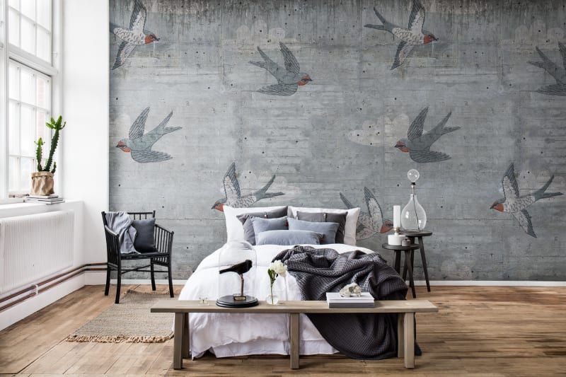 Fototapeta Concrete Art Swallow Rebel Walls (3)