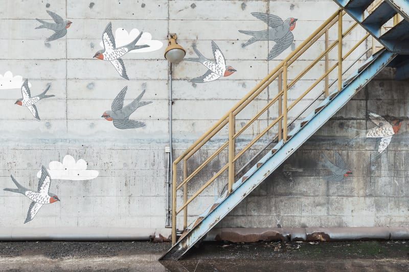 Fototapeta Stairway Graffiti Swallow Rebel Walls (3)