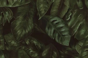 Tapeta Amazon Fern Rebel Walls R17441