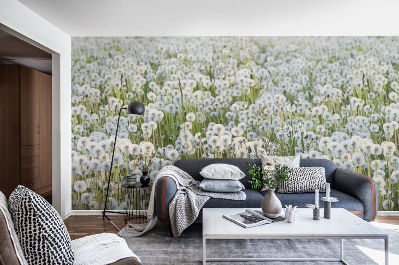 Fototapeta Dandelions Rebel Walls (2)