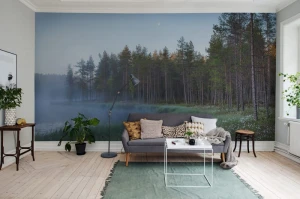 Fototapeta Forest Lake Rebel Walls R16421